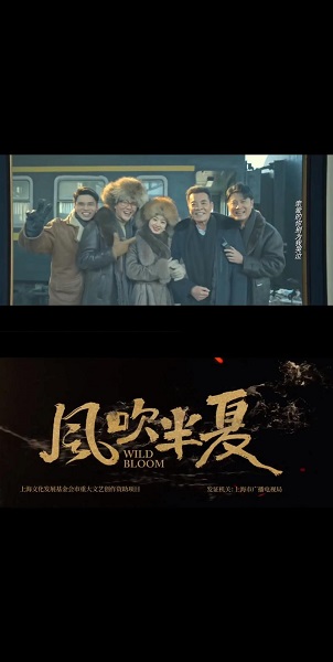 风吹半夏电视剧剧情 风吹半夏电视剧剧情